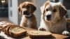 Cachorro pode comer pão