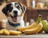 Pode dar banana para cachorro