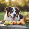 Pode dar maçã para cachorro