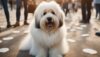 Raça de cachorro peludo